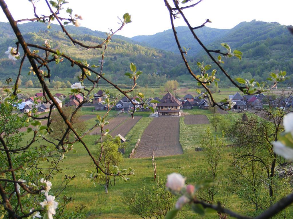 Pensiune agroturistice Pensiunea Sanziene *